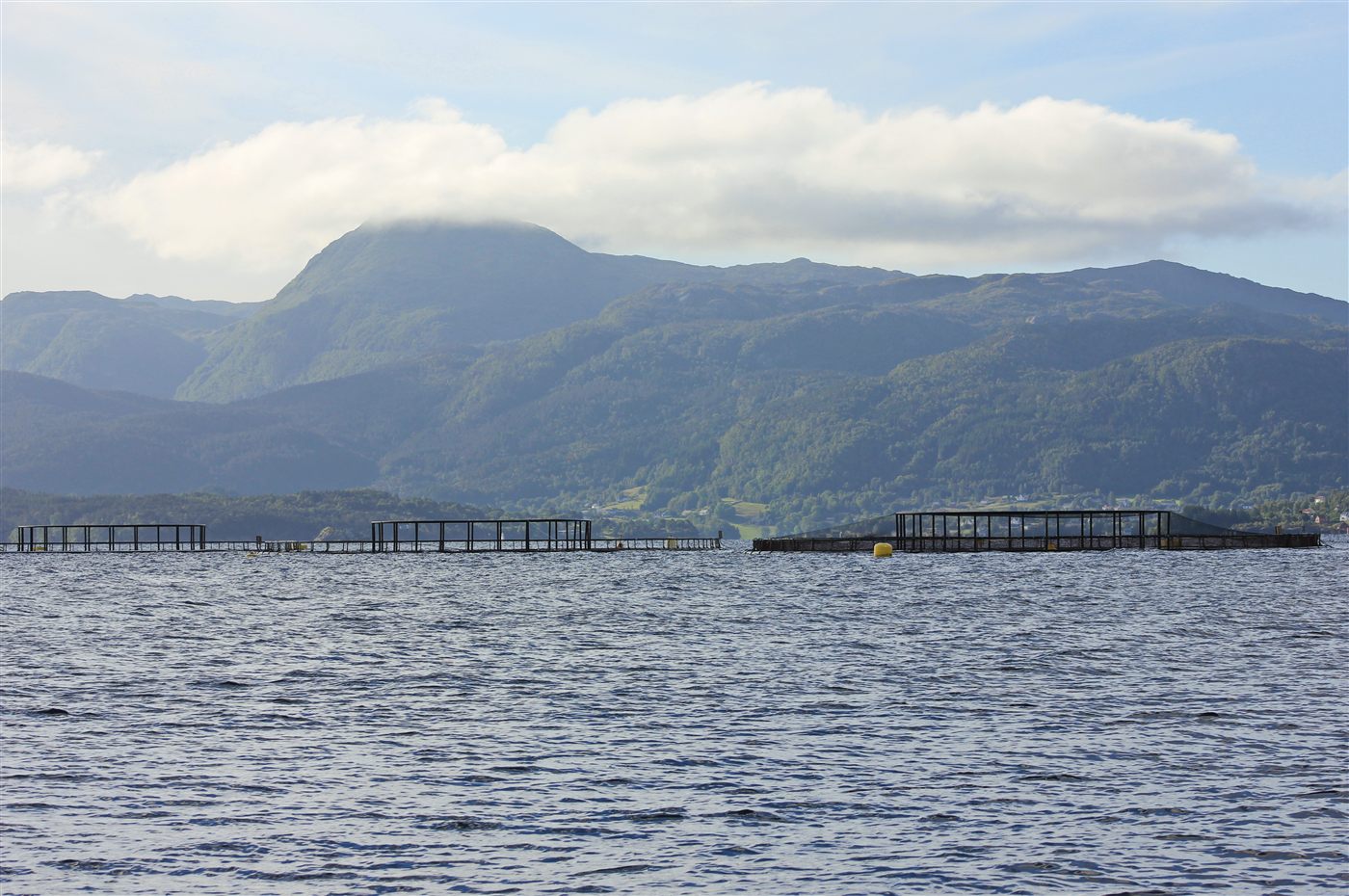 Fiskeoppdrett med merder i norsk fjord
